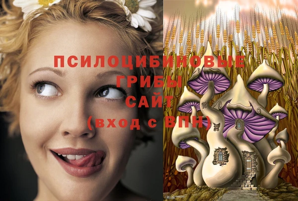 2c-b Балабаново