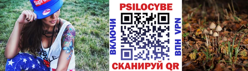 Псилоцибиновые грибы GOLDEN TEACHER  Северобайкальск 